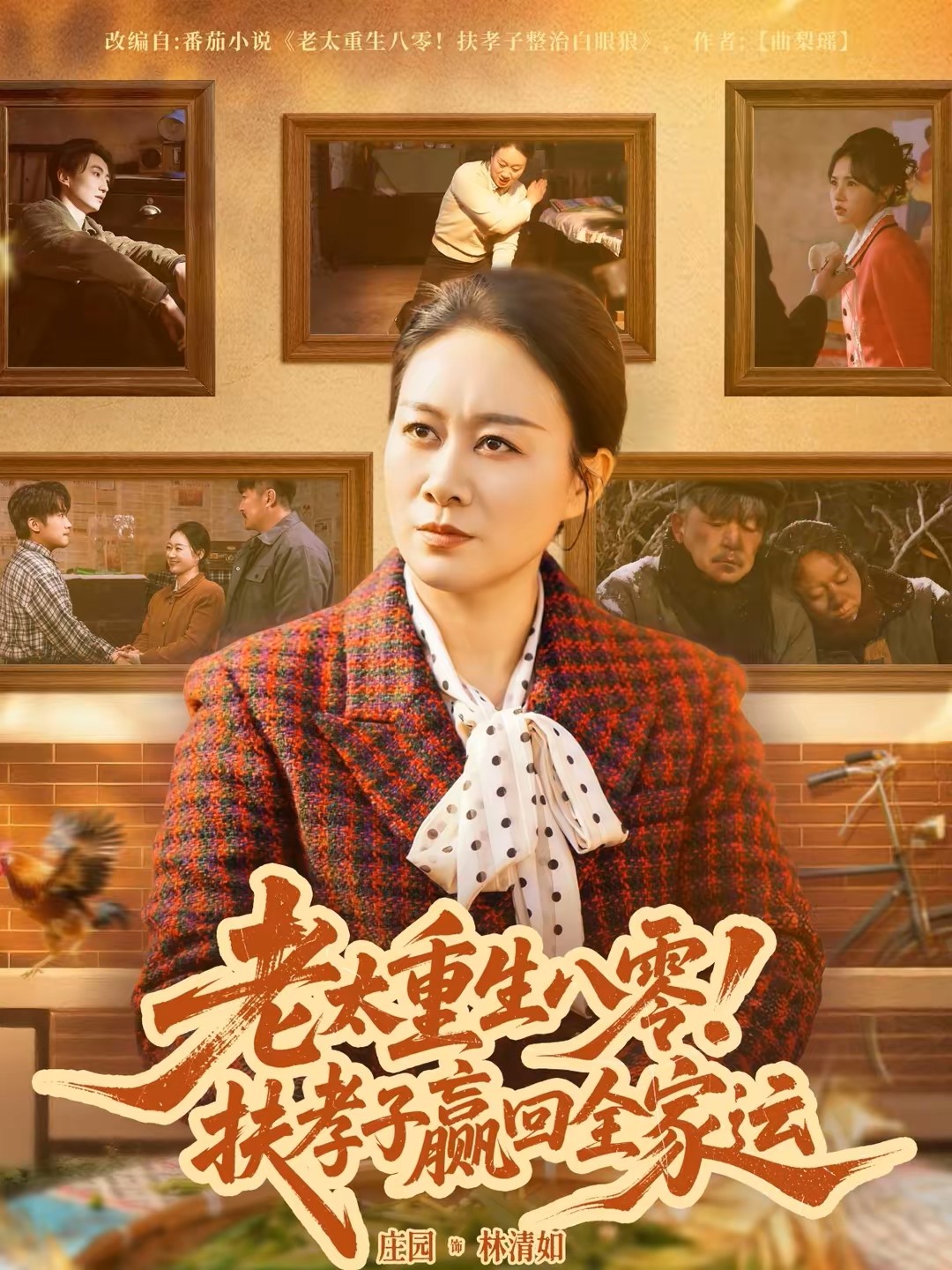 老太重生八零！扶孝子赢回全家运