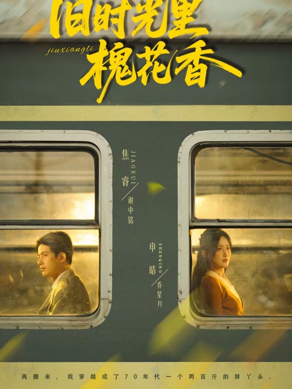 旧时光里槐花香