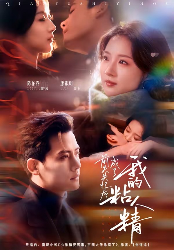 前夫失忆后成了我的粘人精